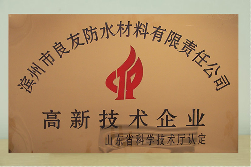 山東省高新技術(shù)企業(yè)